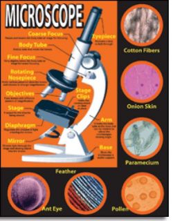 Chartlet - Microscope