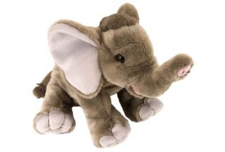 Cuddlekins 12" Plush - Baby Elephant