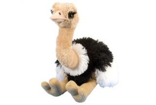 Cuddlekins 12" Plush - Ostrich
