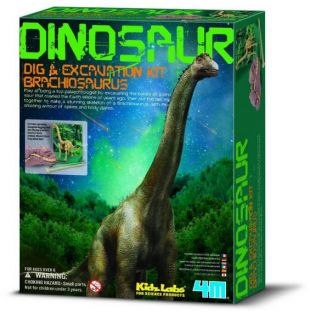 Dinosaur Skeleton Excavation Kit - Brachiosaurus