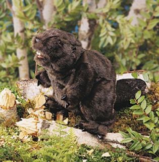 Folkmanis Puppet - Beaver