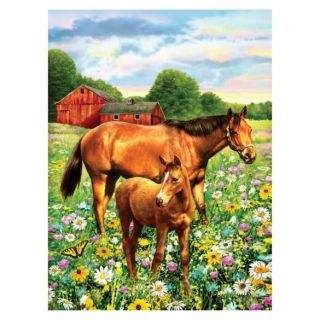 Painting By Numbers - 7 Colors Set : Horse In Field