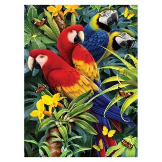 Painting By Numbers - 7 Colors Set : Majestic Macaws