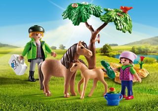 Playmobil #5687 - Vet with Pony and Foal