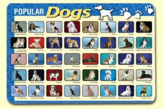 Painless Learning Placemat - Popular Dogs