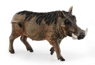 Schleich #14843 - Warthog