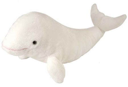 Cuddlekins 12" Plush - Beluga Whale