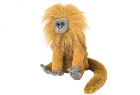 Cuddlekins 12" Plush - Golden Lion Tamarin