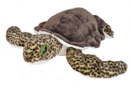 Cuddlekins 12" Plush - Green Sea Turtle