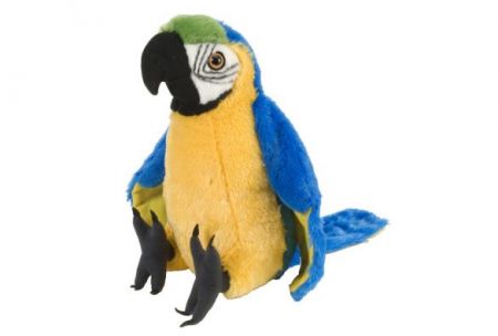Cuddlekins 12" Plush - Macaw Parrot