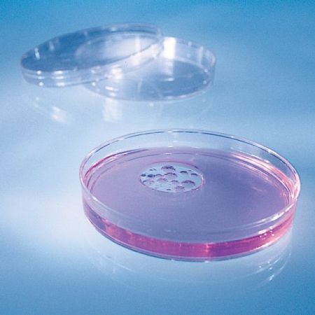 Learning Resources - Petri Dishes with Agar, Set of 2