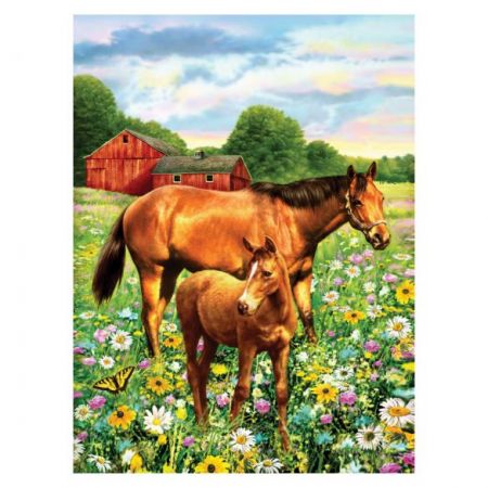 Painting By Numbers - 7 Colors Set : Horse In Field