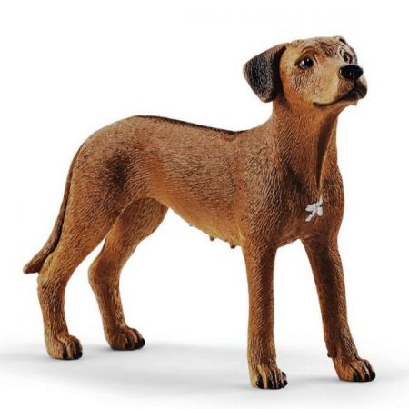 Schleich #13895 - Rhodesian Ridgeback