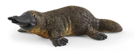 Schleich #14840 - Platypus