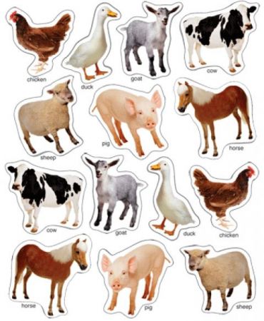 Shape Stickers - Farm Animals #CD168013