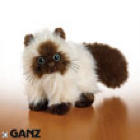 Webkinz Himalayan - HM165